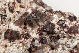 Spessartine Garnets With Smoky Quartz On Feldspar - China #201518-1